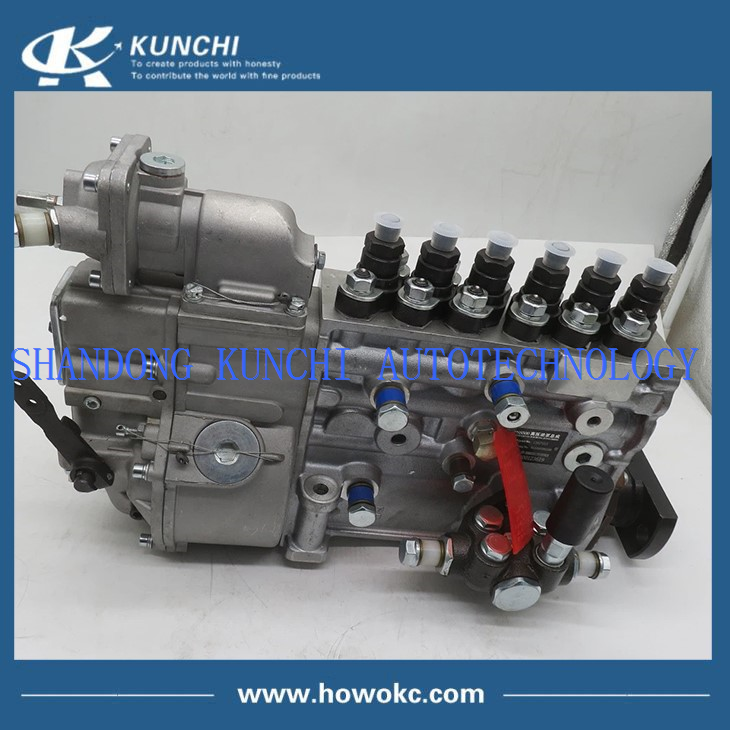 Fuel injection pump VG1096080160 Fuel injection pump VG1096080160