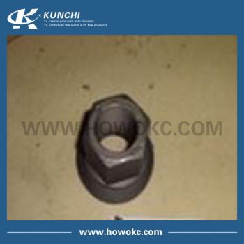 Howo Truck Parts WG9003884160 Nut